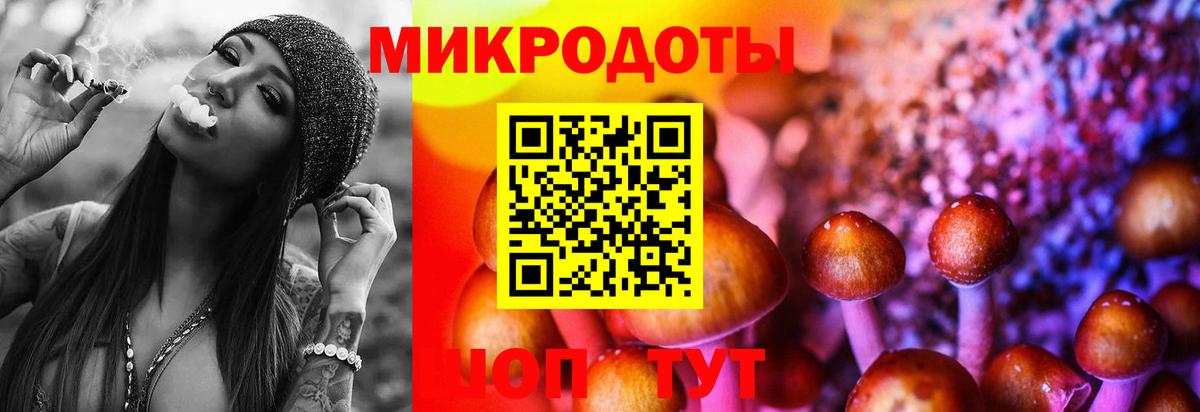 Псилоцибиновые грибы прущие грибы  Псилоцибиновые грибы Psilocybe  Белогорск  Вход с VPN 
